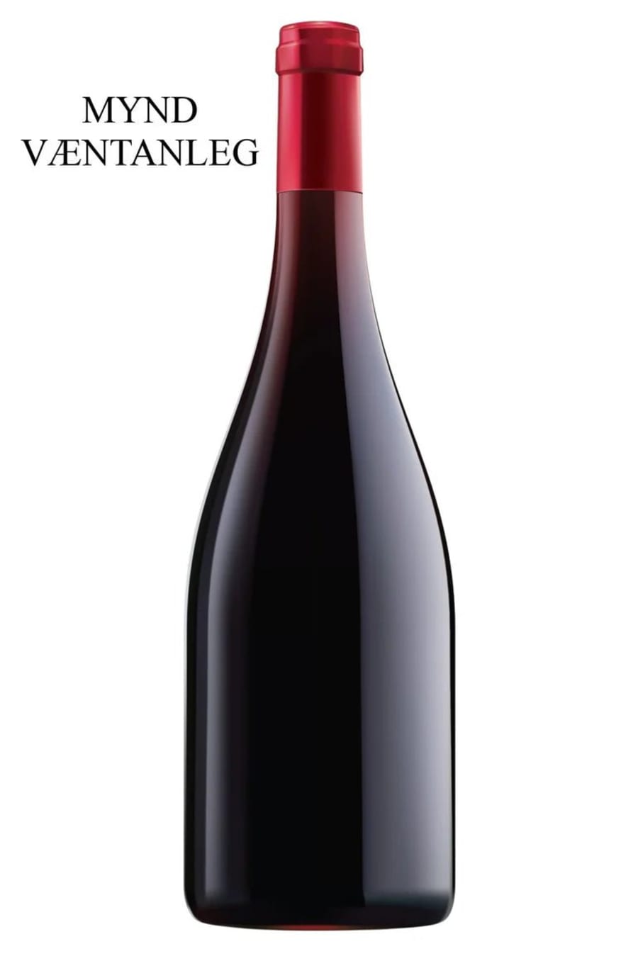 2023 Georges Noëllat Nuits-Saint-Georges 1er Cru Les Saints-Georges