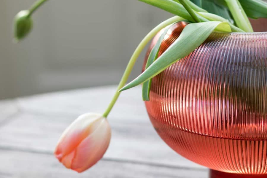 Round Vasi | Coral