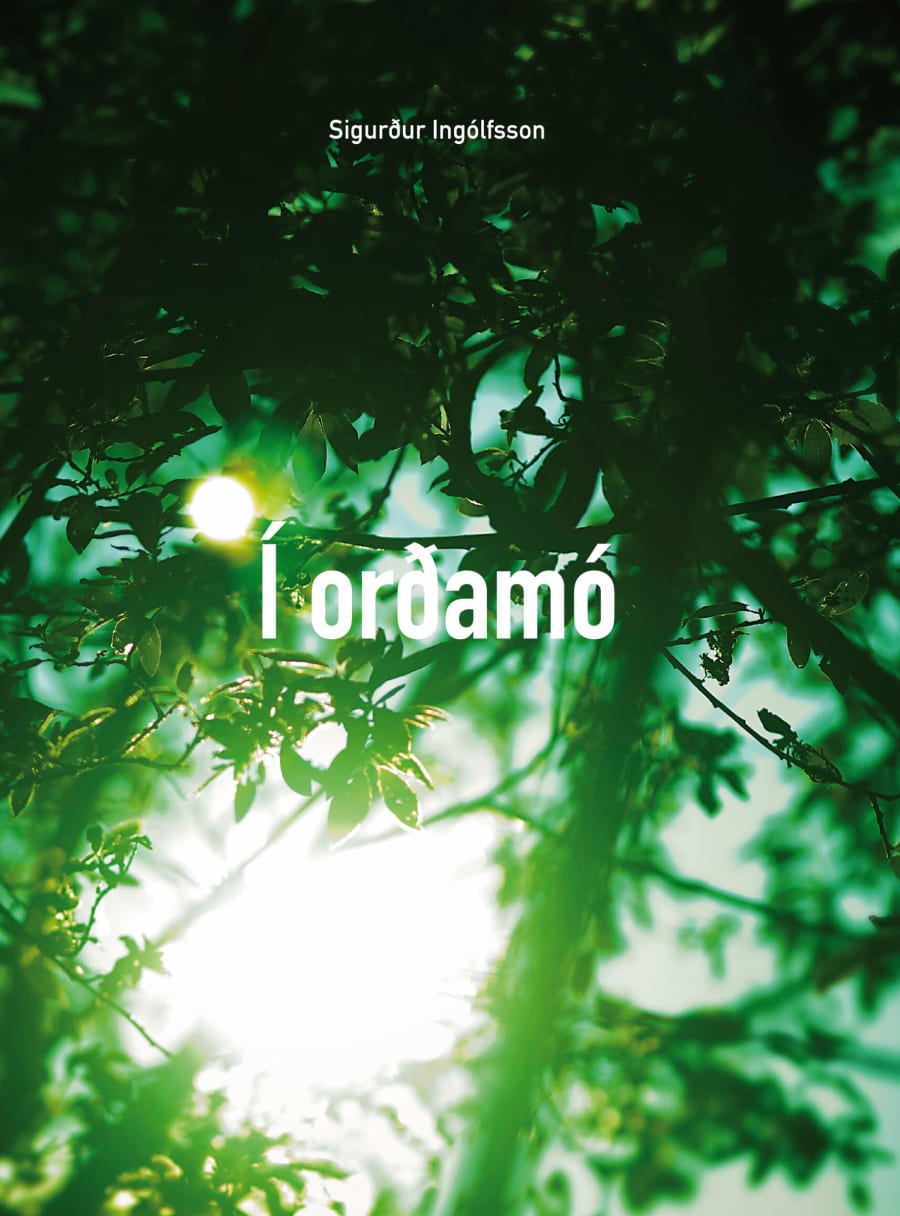 Í orðamó