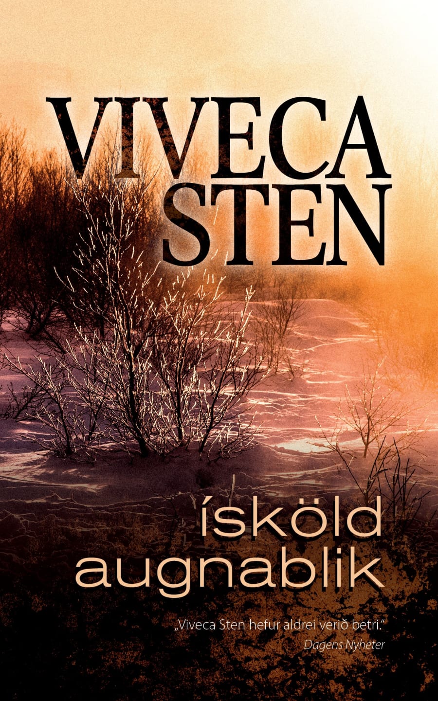 Ísköld augnablik: Sandhamn #9