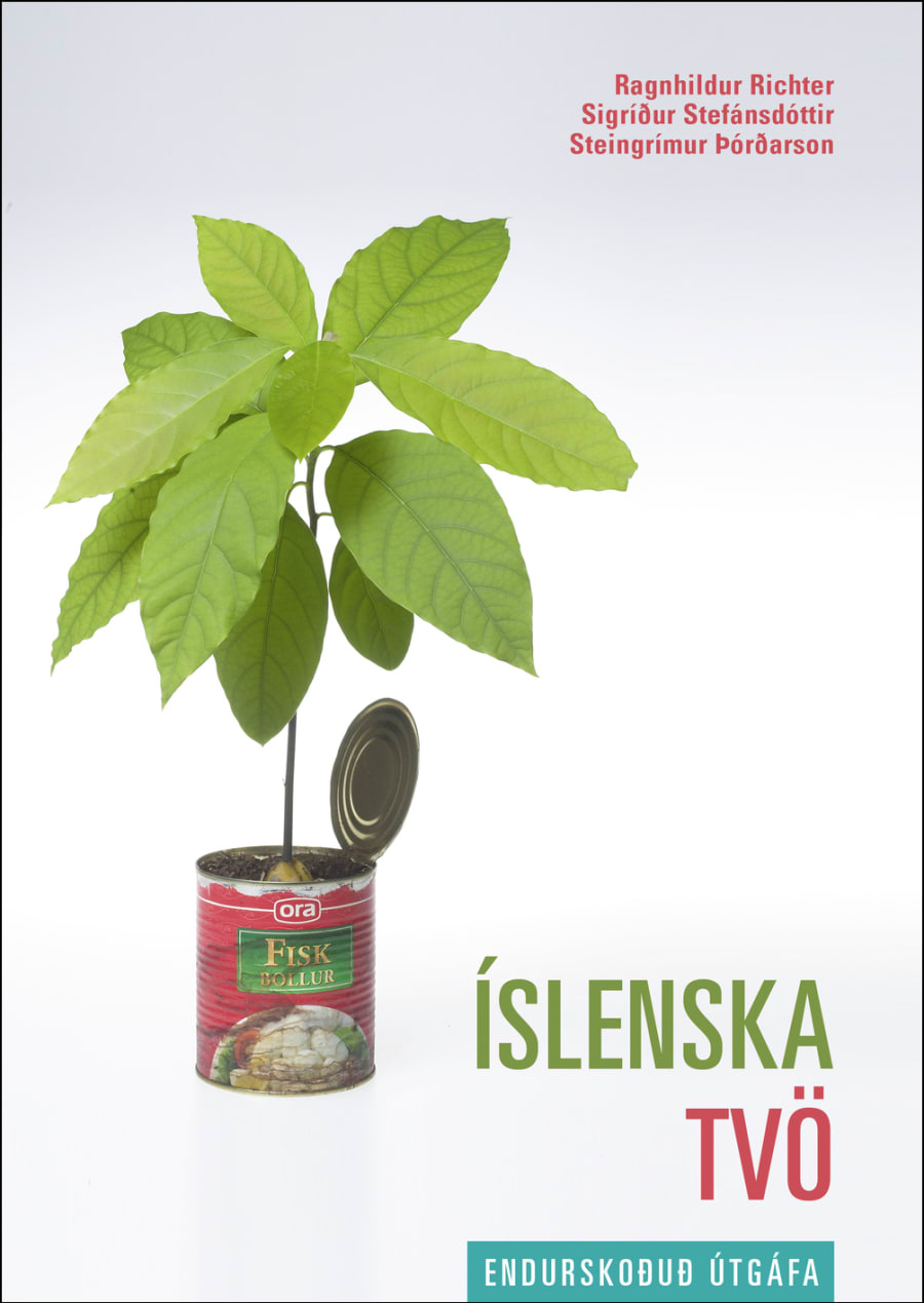 Íslenska tvö