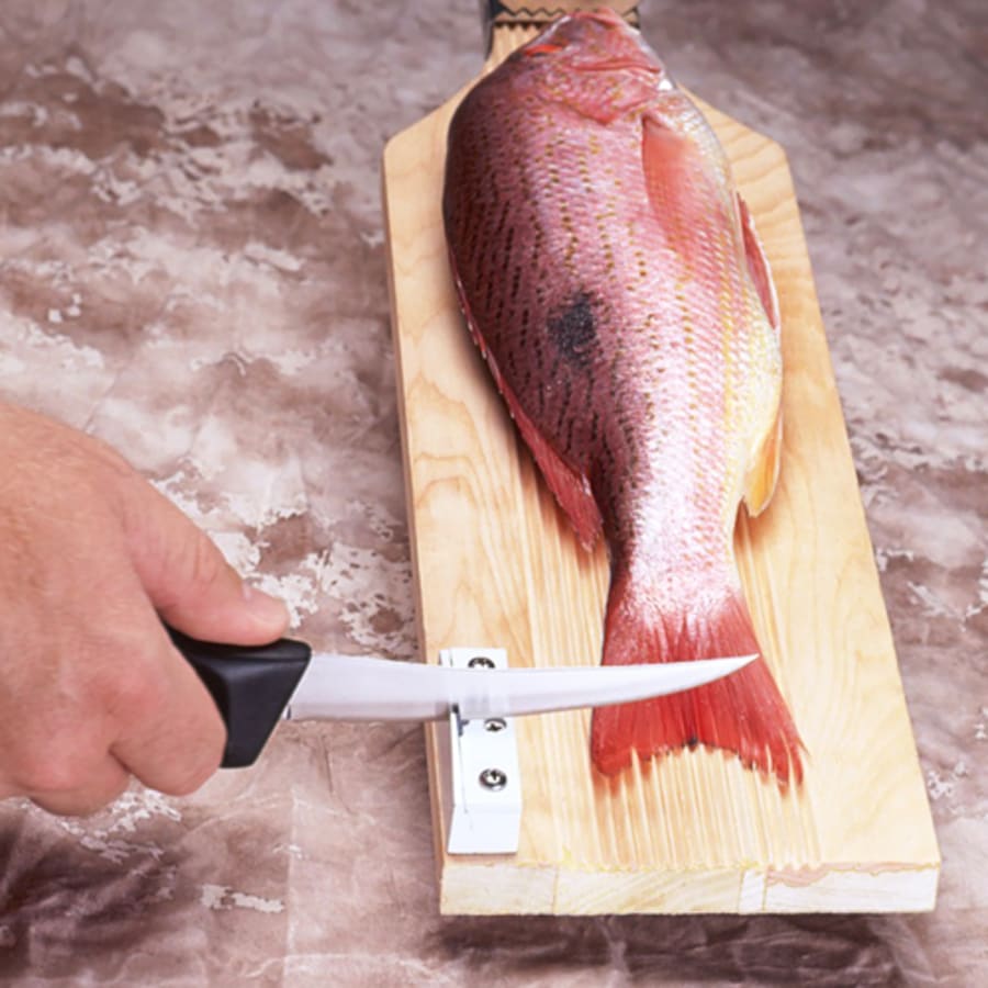 AccuSharp SturdyMount, regular