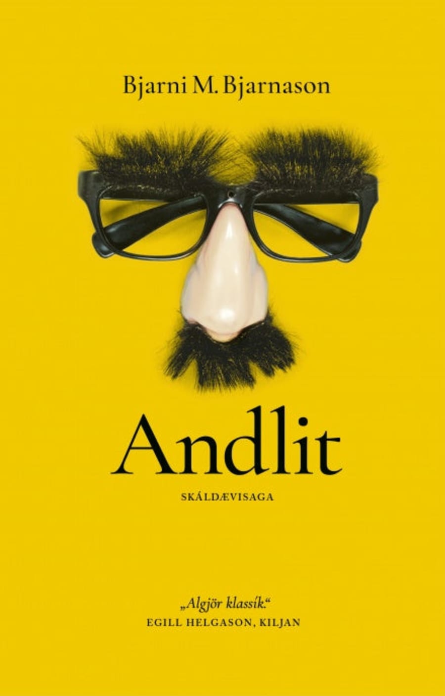 Andlit - Bjarni B