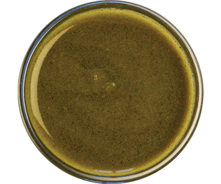 Kóríander chutney