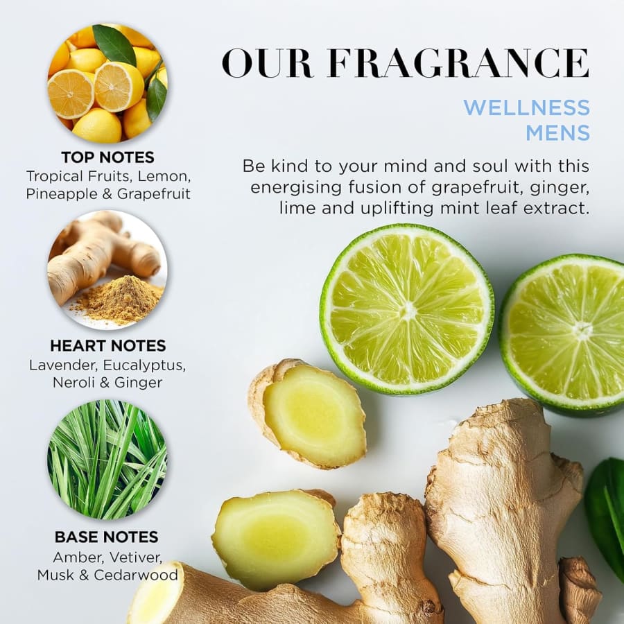 Baylis & Harding Wellness Snyrtitaska full af snyrtivörum fyrir herra
