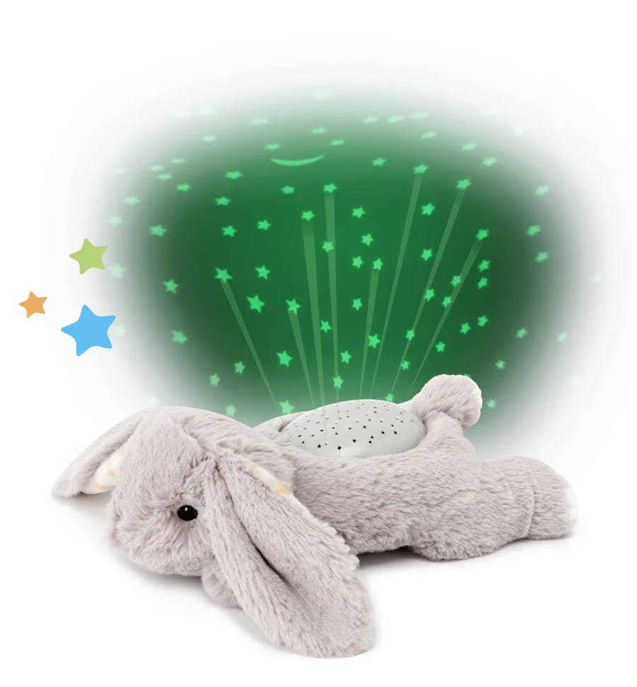 Bennie Bunny – Dream buddie