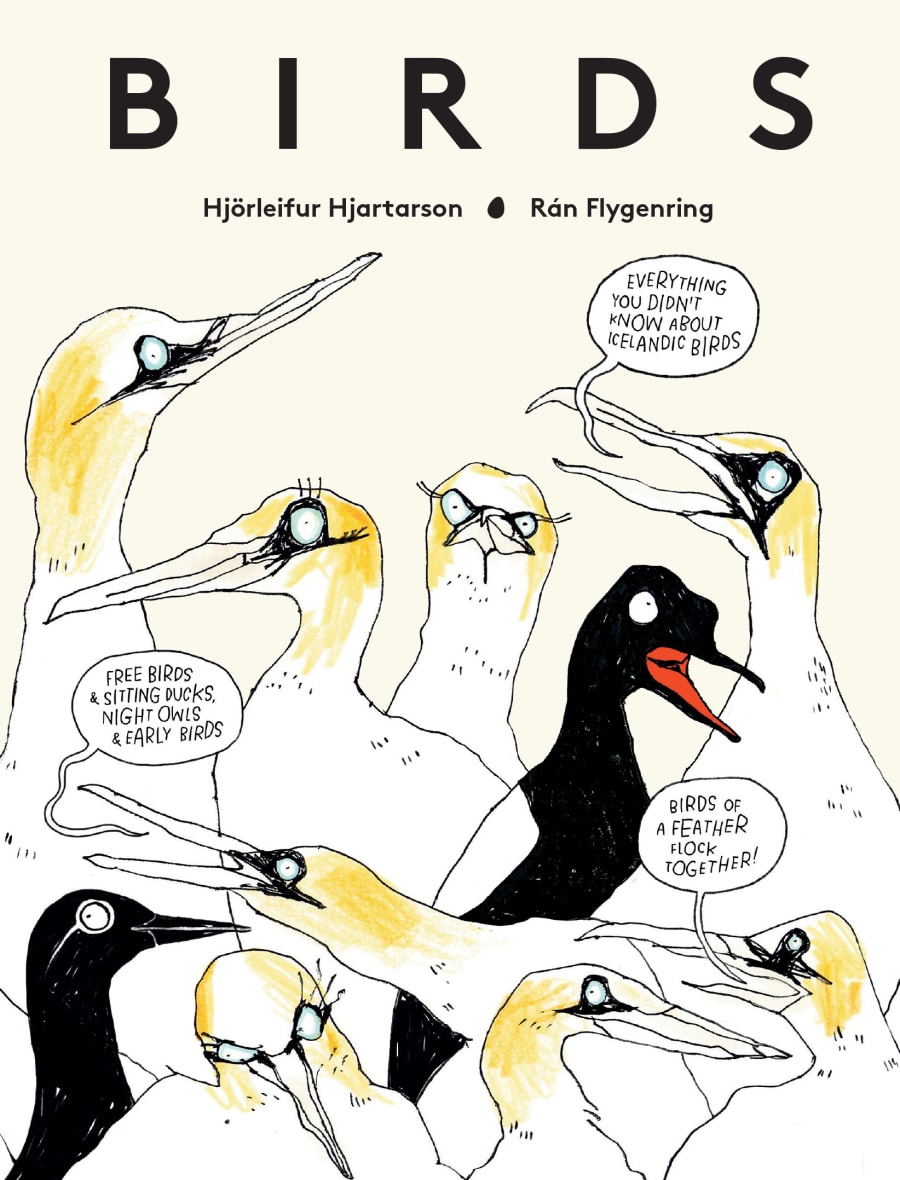 Birds