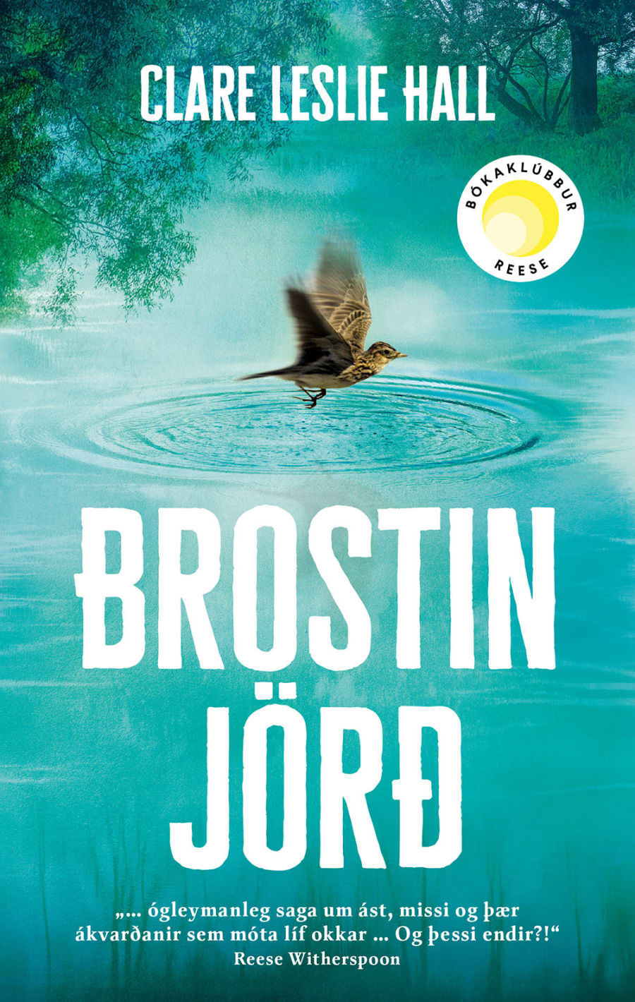 Brostin jörð