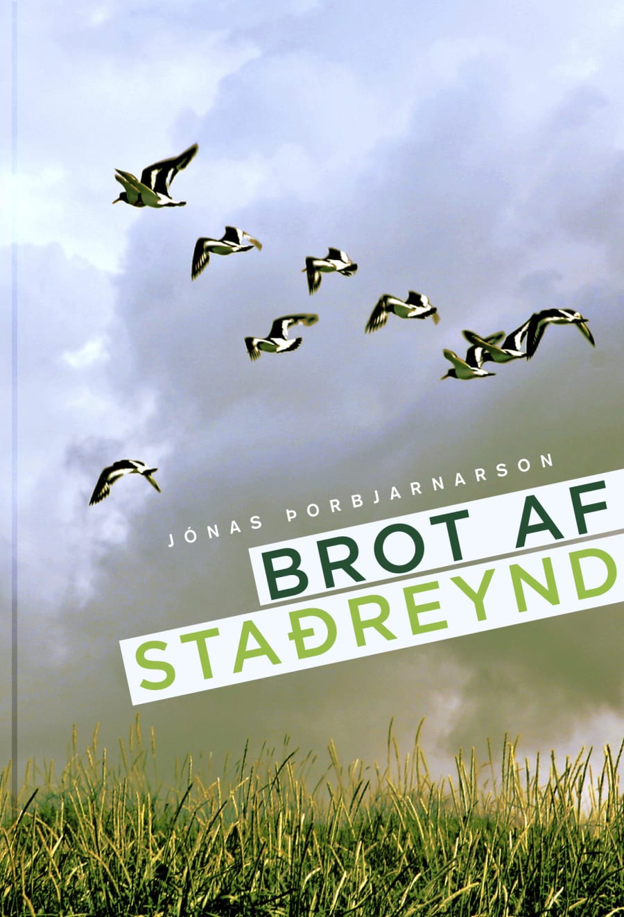 Brot af staðreynd