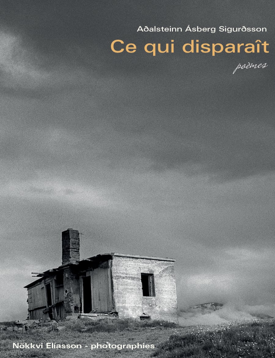 Ce qui disparaît - poèmes