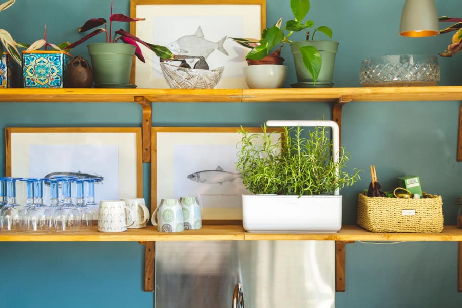 Click and Grow Smart Garden 3 GRÁR