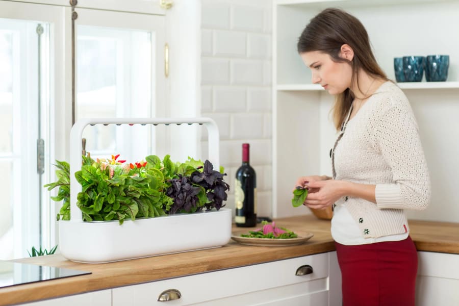 Click and Grow Smart Garden 9 Starter Kit HVÍTUR