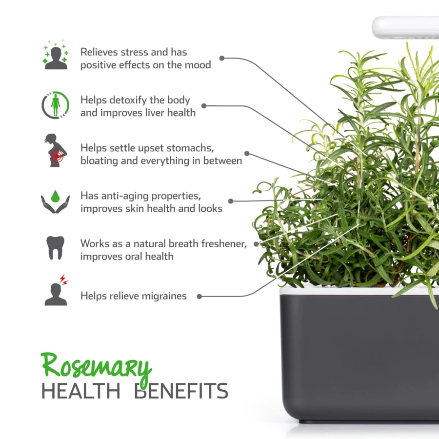 Click and Grow Smart Garden Áfylling 3-pack - Rósmarín (Rosemary)