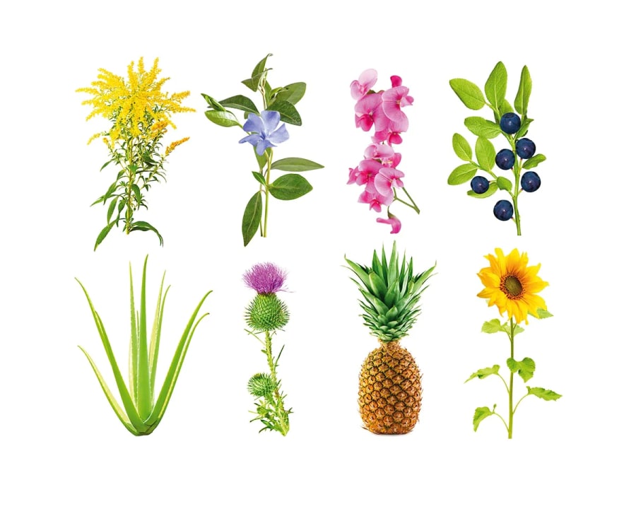 Click and Grow Smart Garden Áfylling 3-pack - Tilraunapakki án fræja (Experimental)