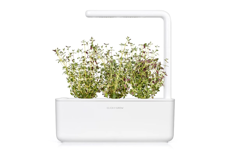 Click and Grow Smart Garden Áfylling 3-pack - Timjan (thyme)