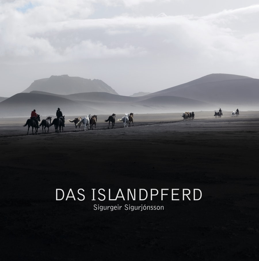 Das Islandspferd