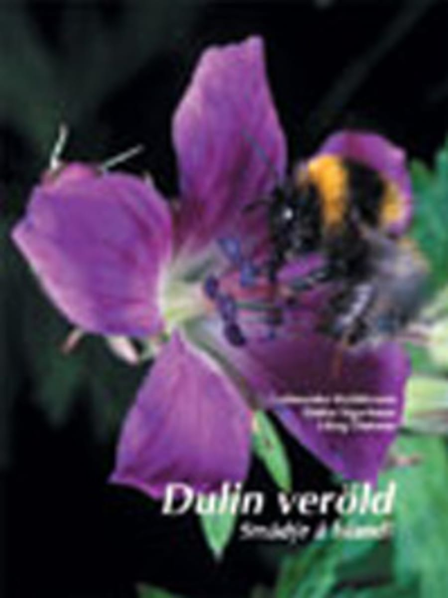 Dulin veröld