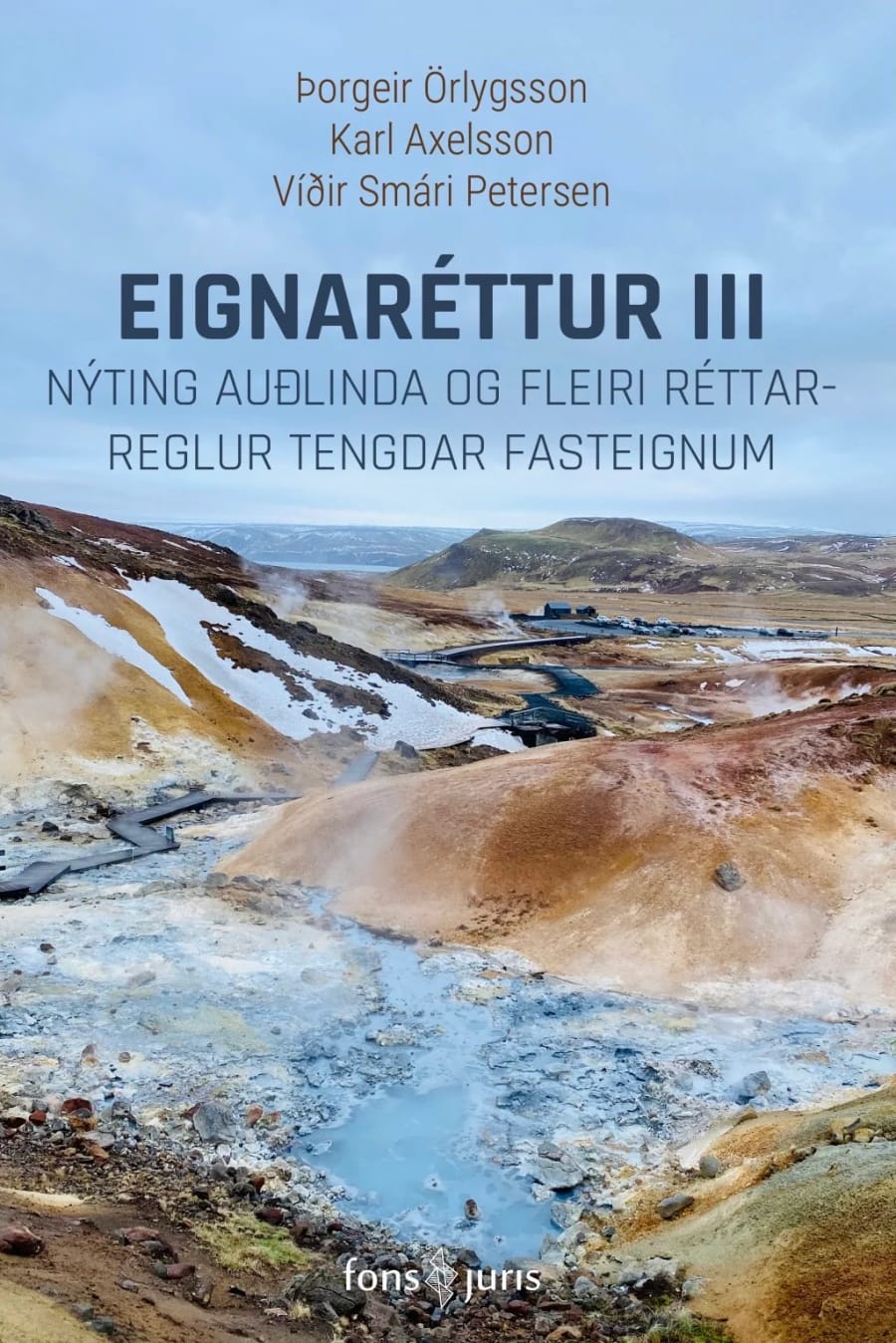Eignaréttur III