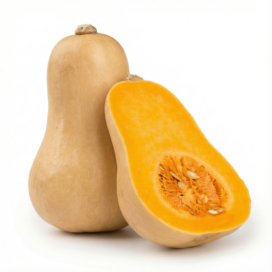 Grasker butternut spánn