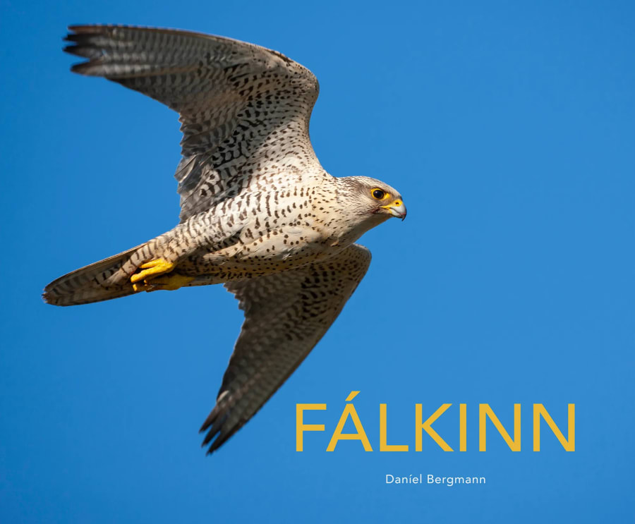 Fálkinn