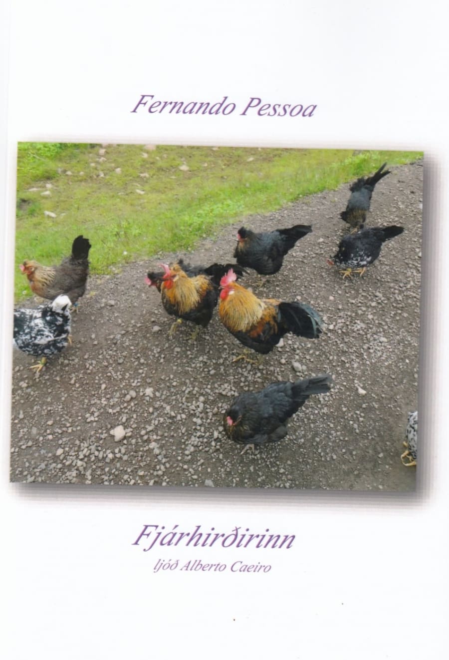 Fjárhirðirinn