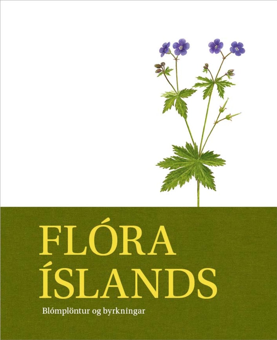 Flóra Íslands: Blómplöntur og byrkningar