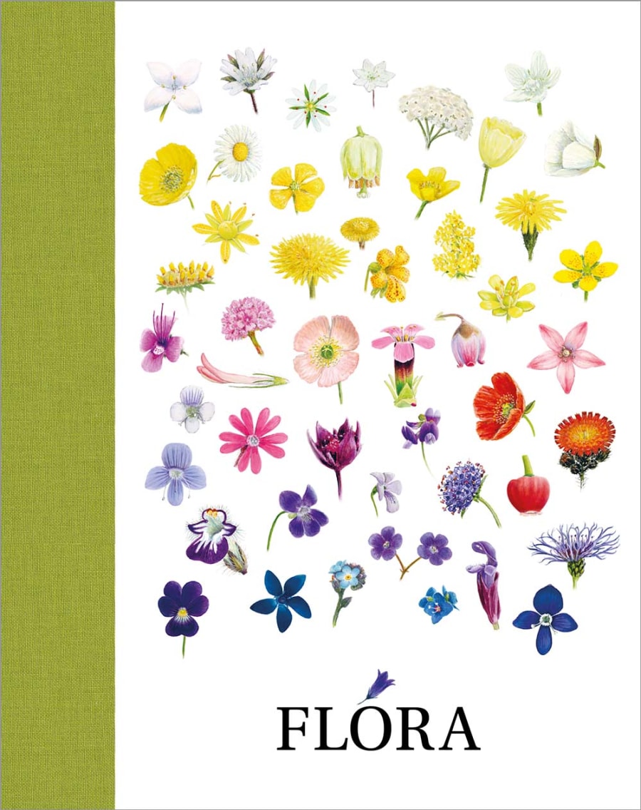 Flóra