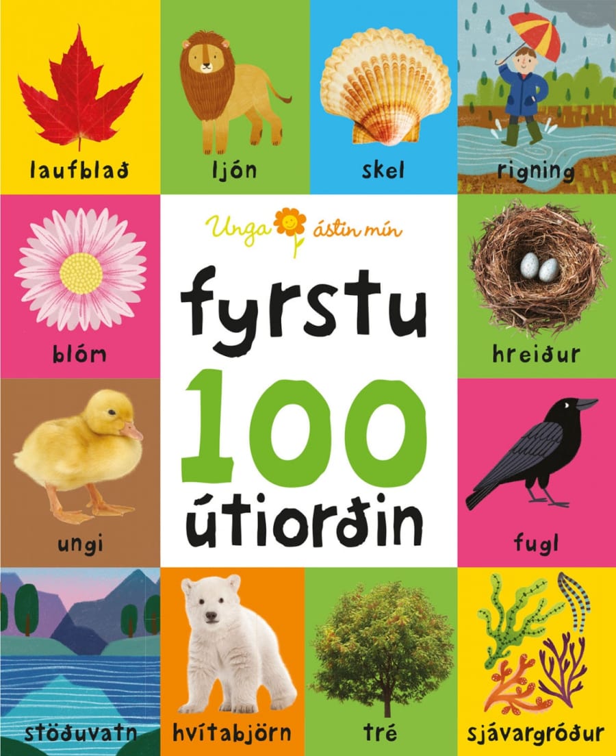 Fyrstu 100 útiorðin