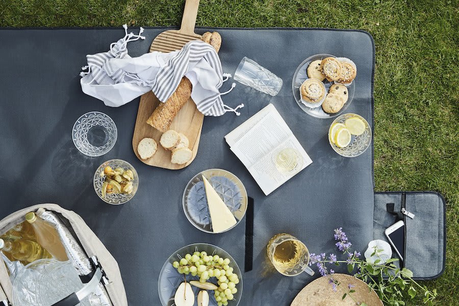 Picknick Diskar 4 stk