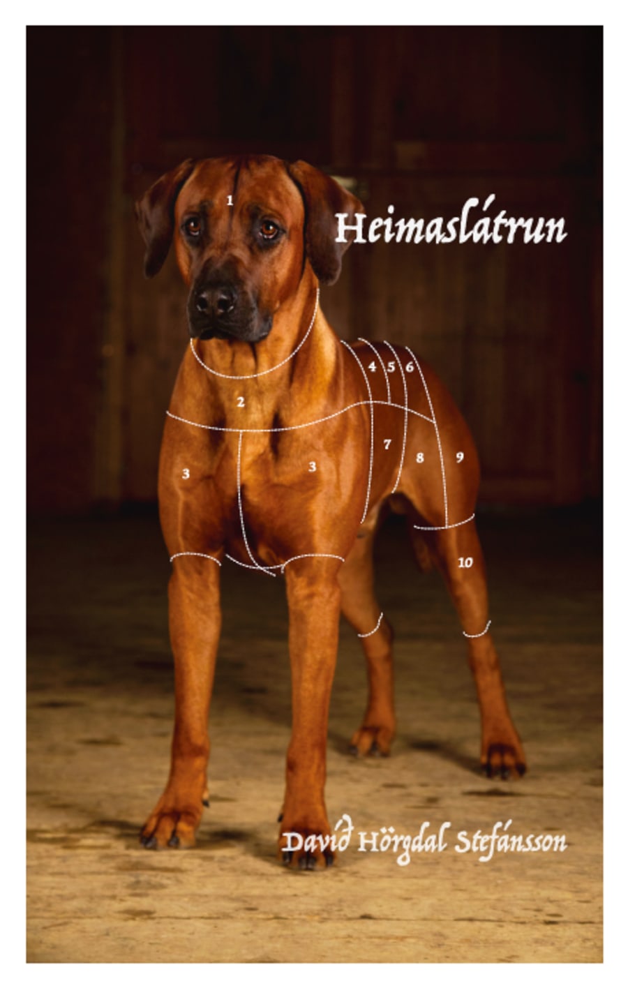 Heimaslátrun