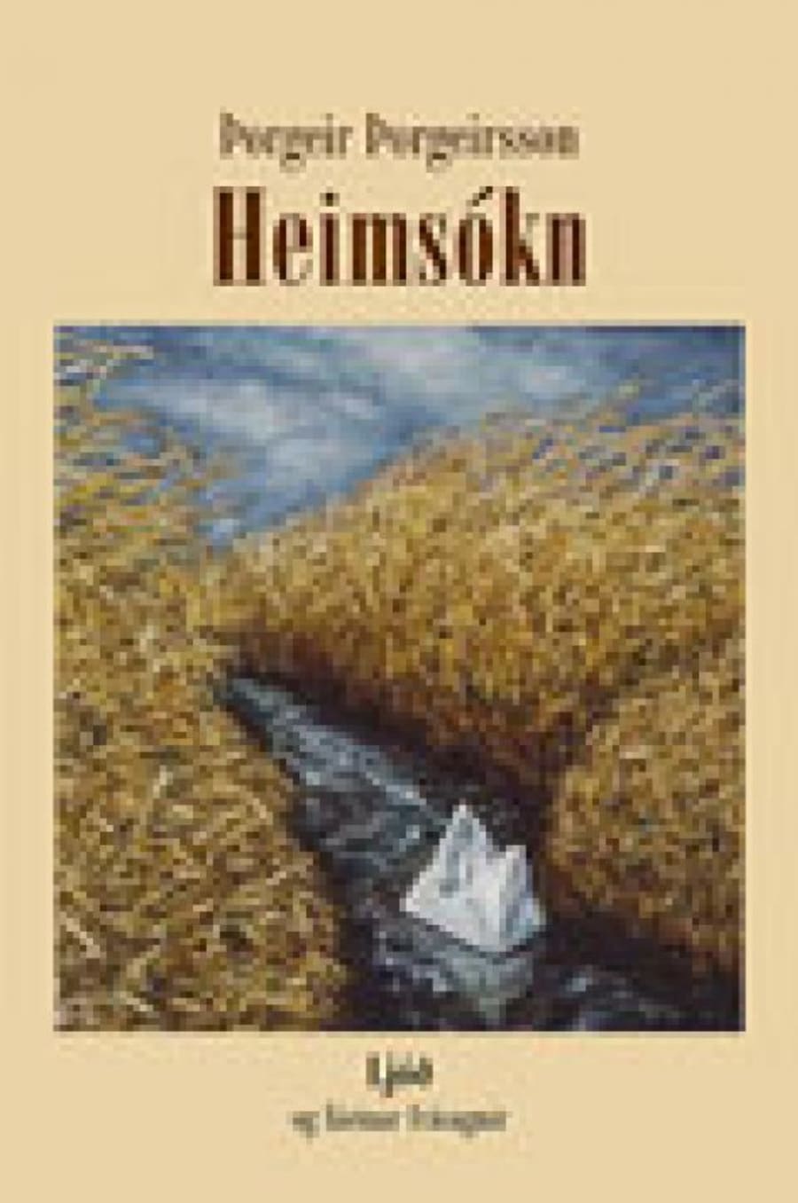 Heimsókn
