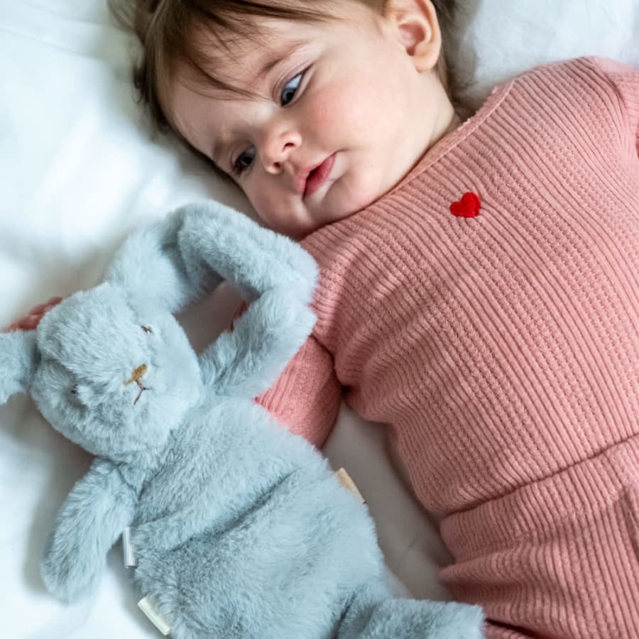 Houston Heavy Teddy mini Bunny blá
