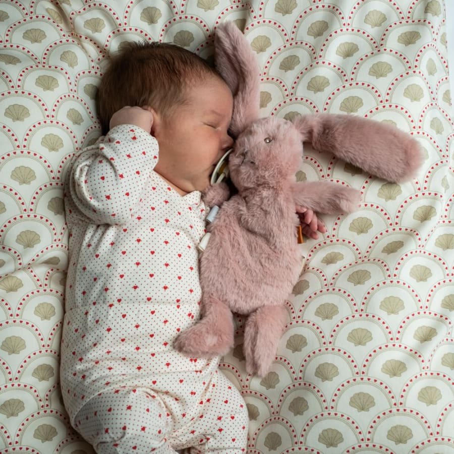 Houston Heavy Teddy mini Bunny rose
