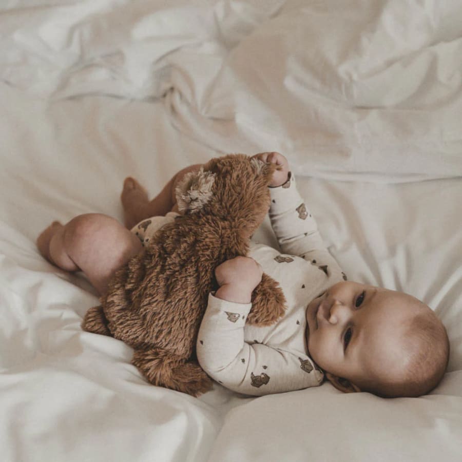 Houston Heavy Teddy Small – þyngdarbangsi