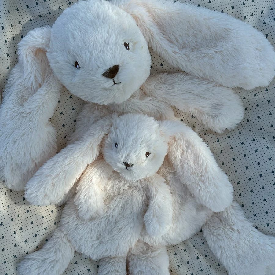 Houston Heavy Teddy Small Bunny Cream