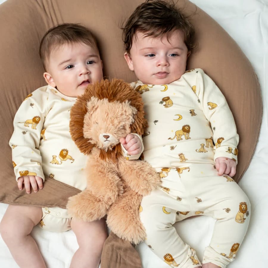 Houston heavy teddy small Lion – lítið ljón