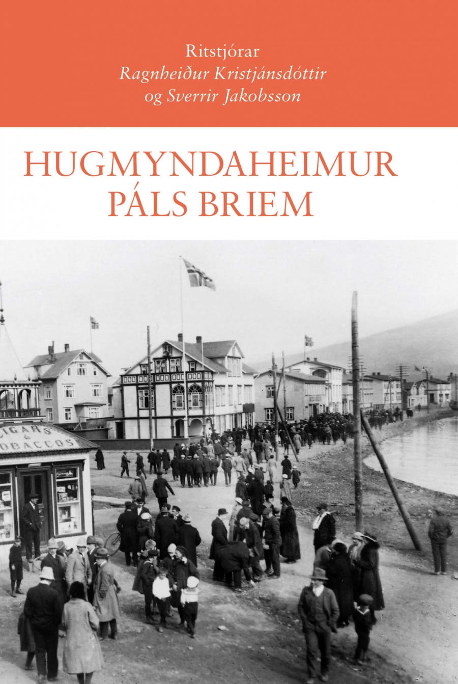Hugmyndaheimur Páls Briem