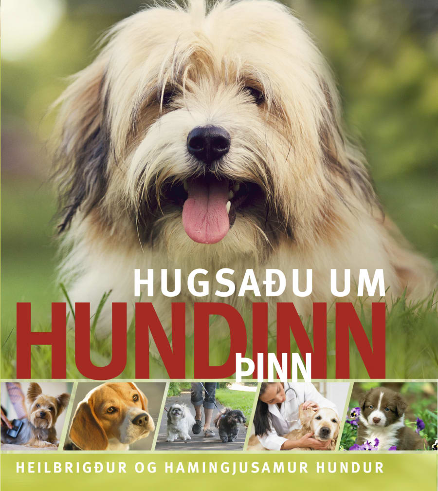 Hugsaðu um hundinn þinn