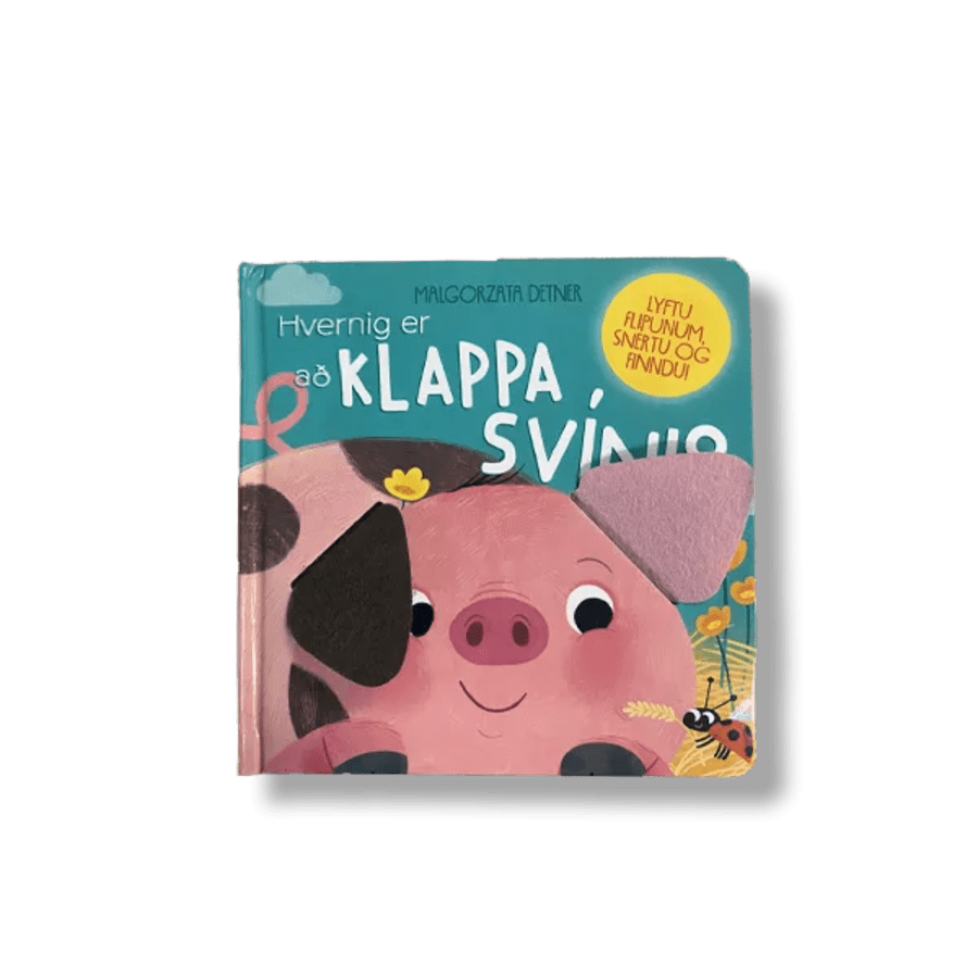Hvernig er að klappa svíni?
