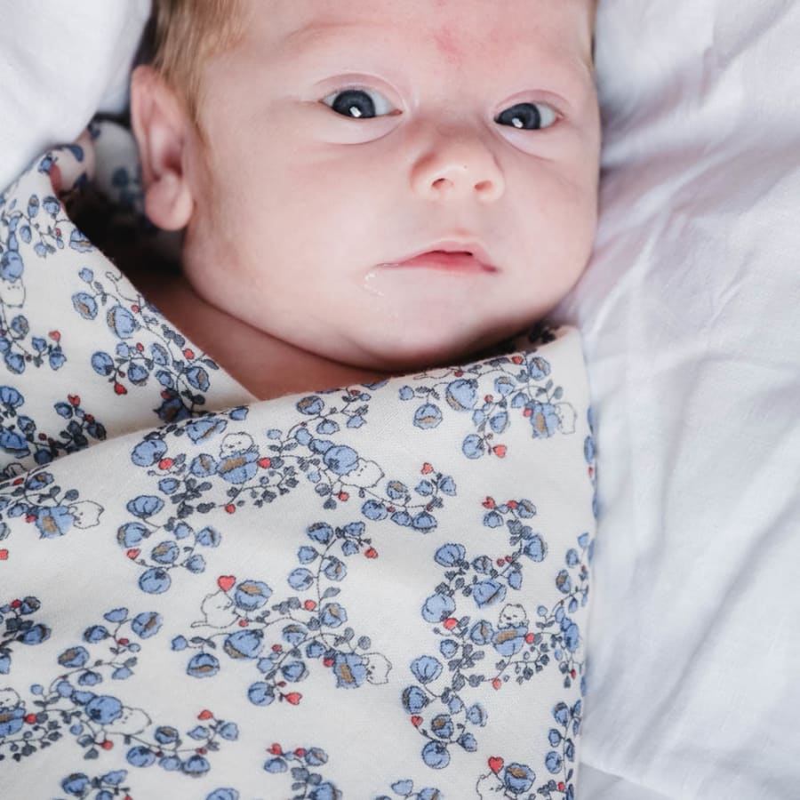 Jana Muslin Swaddle Blue bells