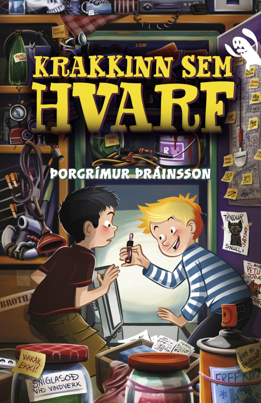 Krakkinn sem hvarf