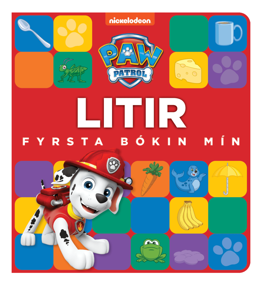 Litir: Fyrsta bókin mín