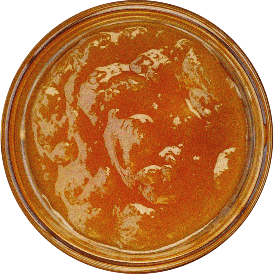 Mango Chutney