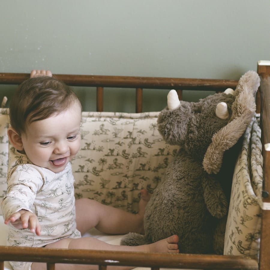 Nicu Smushie Teddy Dino
