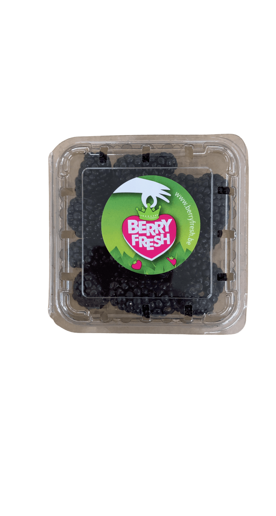 Berry Fresh brómber 125 g