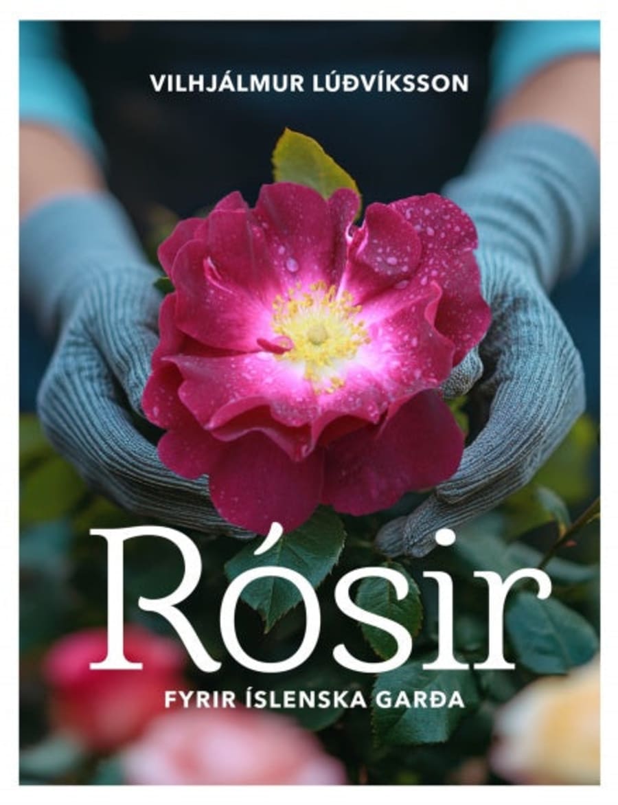 Rósir fyrir íslenska garða