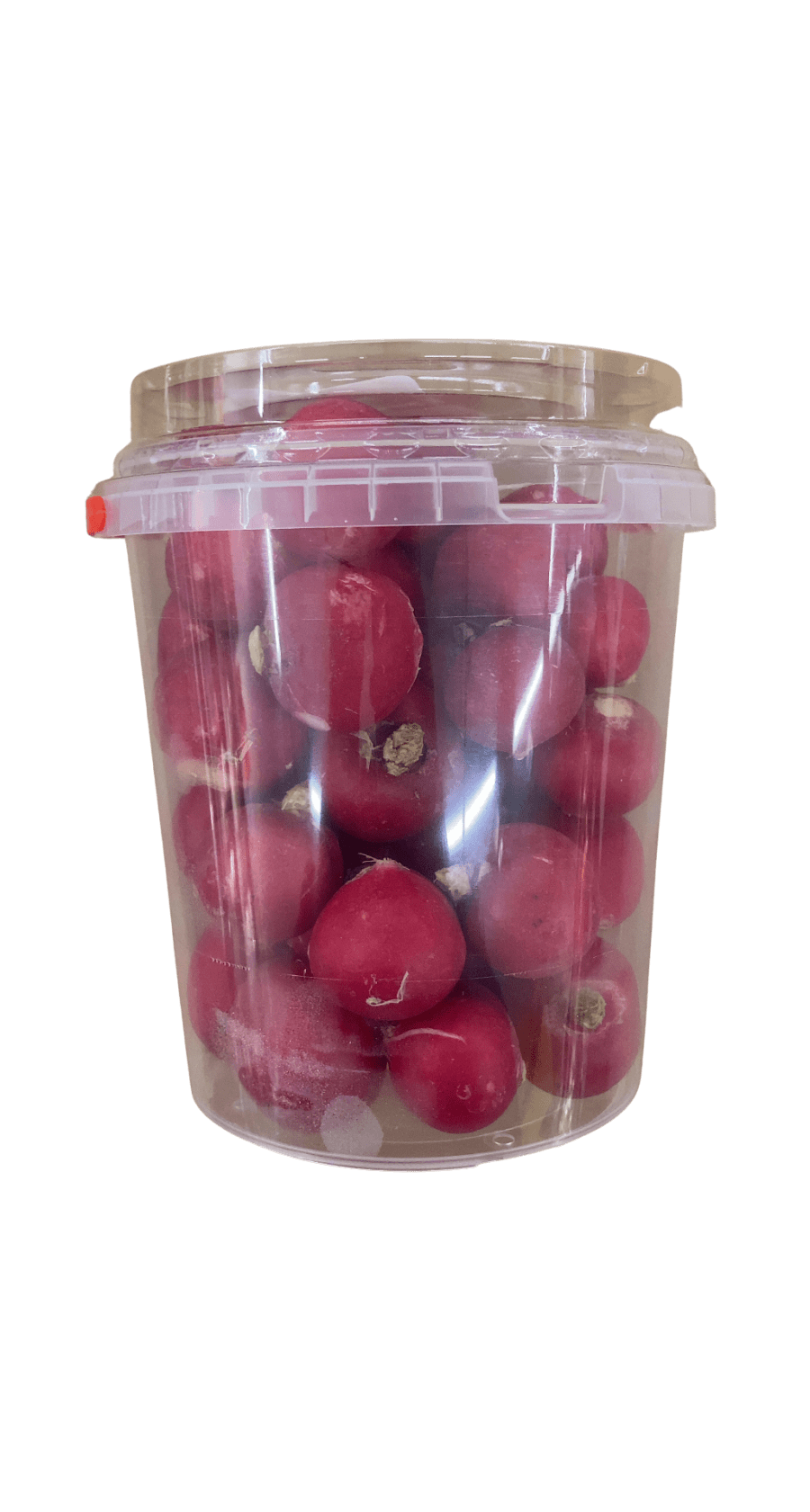 Daily Fresh Radísur 450 g