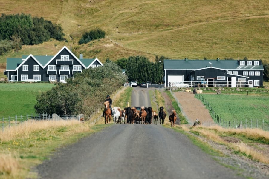 Gisting í svítu, 90 mínútna nudd og aðgangur að spa fyrir tvo auk gönguferðar með leiðsögn frá Skálakot Manor Hotel