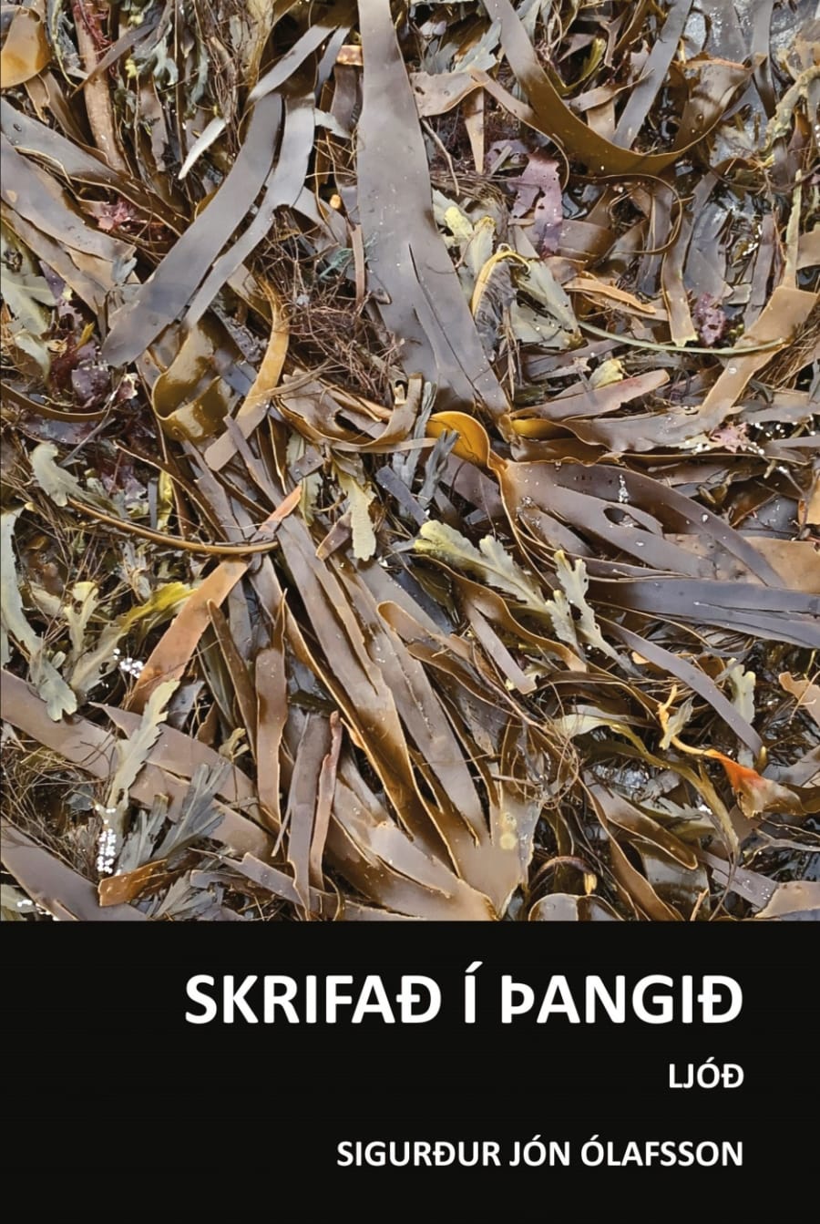 Skrifað í þangið