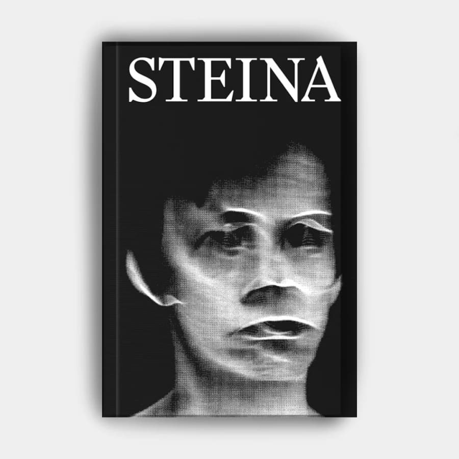 Steina Vasulka (Steina)